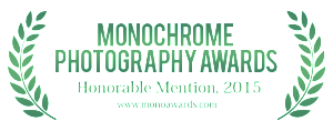 monoawards_2015_hm